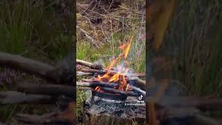 Camping in HEAVY rain in the Tentsile tree tent camping campingintherain treetent wildcamping [upl. by Aihsenek]