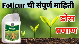 फॉलीक्युअर बुरशीनाशक  folicur fungicide details [upl. by Aihtyc747]