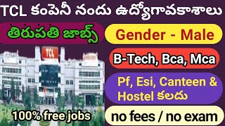 TCL Company Jobs  Tirupati Jobs  Mca Bca Btech Jobs  Free Jobs [upl. by Cho305]