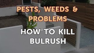 How to Kill Bulrush [upl. by Hsaniva589]