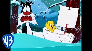 Looney Tunes  Finding Food in the Snow Storm  Classic Cartoon  WB Kids [upl. by Ardme]