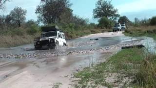 Moremi Game Reserve Botswana HD [upl. by Jean-Claude]