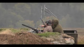 Driven Grouse Shooting Legerwood  Scotland  UK [upl. by Buyers]