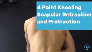 How to do a 4 Point Kneeling Scapular Retraction and Protraction [upl. by Yllut789]