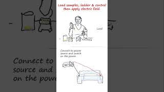 Agarose gel electrophoresis of DNA in brief  genetics biology biotechnology [upl. by Dulcine]