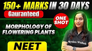 150 Marks Guaranteed MORPHOLOGY OF FLOWERING PLANTS  Quick Revision 1Shot  Botany for NEET [upl. by Ethelstan825]