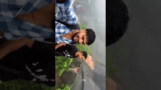 Girnar Hill Junagadh  girnar vlog coming soongirnar 10000 steps Guru Dattatreya Mandir Girnar [upl. by Ttezzil910]