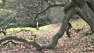 Goyt valley walk Errwood Hall amp the family graves [upl. by Notsuh]