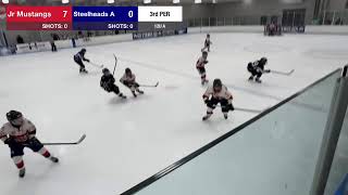 Steelheads A at Jr Mustangs Game 2 [upl. by Nnyrb]