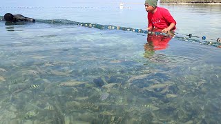 menangkap Ribuan Ikan buat makan sekampung [upl. by Edrahs]