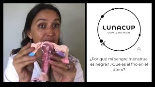 ¿Por qué mi sangre menstrual es negra ¿Qué es el frío en el útero [upl. by Polik672]