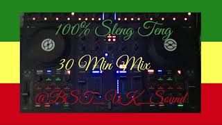 100 Sleng Teng Riddim Tracks  30 Minute Reggae Mix [upl. by Myers311]