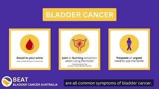 Bladder Cancer Common Symptoms [upl. by Adnoryt]