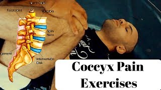 Best SelfTreatment Exercises for Tailbone Coccyx Pain or Coccydynia  Feat Harbir Singh [upl. by Aaberg]