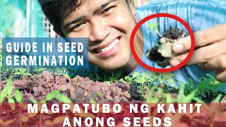 SIGURADONG TUBO NG SEED ALAMIN KUNG PAPAANO SEED GERMINATION GUIDE [upl. by Assenov35]