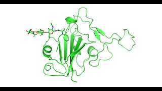 How to define Glycans and disulfide bonds in CharmmGUI [upl. by Acsisnarf]