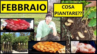 Cosa piantare a FEBBRAIO nellOrto nel Frutteto e in Casa  Tutorial Agricoltura [upl. by Berner873]