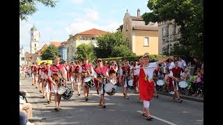 Bunter Festzug Schuetzenfest Biberach 2018 [upl. by Naujal]