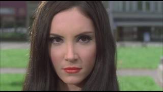 The Love Witch Official Trailer [upl. by Yelsnya]