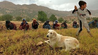 Irans village lifestyle [upl. by Onilegna274]