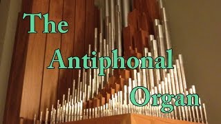 The Antiphonal Organ [upl. by Suolkcin]