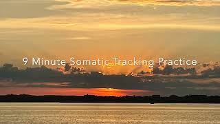 9 Minute Somatic Tracking Practice [upl. by Noiraa]