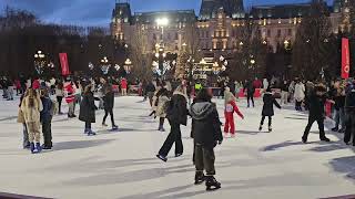 Patinoar iasi 2024 [upl. by Seuqirdor]