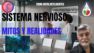 Sistema Nervioso Mitos y Realidades [upl. by Ocirederf773]