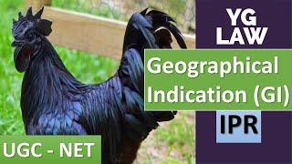 Protection of Geographical Indications  YG Law [upl. by Aydne]