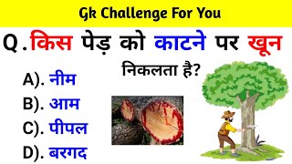 GK Question  GK In Hindi  GK Question and Answer  GK Quiz  BR GK STUDY [upl. by Aifas]