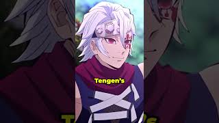 Tengens Wives Have A SHOCKING Secret shorts demonslayer [upl. by Oner]