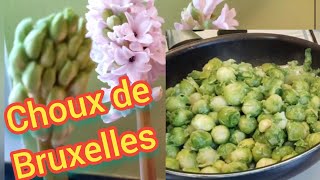 recetterecette de choux de Bruxelles facilerapidechoux [upl. by Ameh]