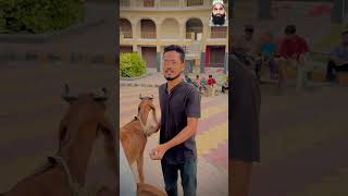 Korbani allah ke liye kari jati he nake khod ke liye🐐🤲🏻allah korbani trending shorts viral [upl. by Ioab]