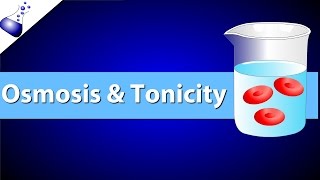 Osmosis and Tonicity [upl. by Ahseiyk442]