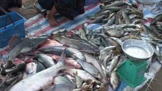 Fisheries in Lao PDR by Mekong River Commission [upl. by Mimi]