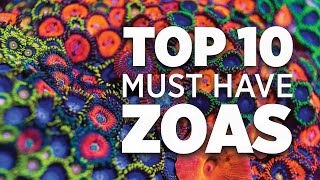 Top 10 Must Have Zoanthids  World Wide Corals [upl. by Kallick]