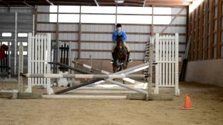 Teaching my Standardbred to Jump and Canter [upl. by Lewison]