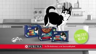 Purina FELIX Ellenállhatatlan íz színezékek nélkül [upl. by Juanne]