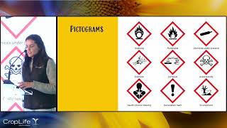 Globally Harmonized System GHS  An Overview [upl. by Perretta609]