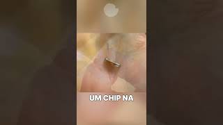 CHIP NA MÃO É SINISTRO interessante curiosidade curiosidades [upl. by Lirva]