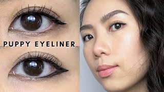 2 Ways to Wear PUPPY EYELINER  Best Eyeliner for SuperHooded Eyes amp Monolids Beginner Friendly [upl. by Begga]