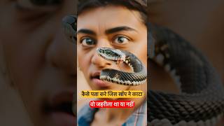 How to identify a poisonous and nonpoisonous snake ytshorts amazingfact viralvideo [upl. by Neau]