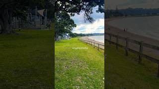 Relaxing Walk in Paihia New Zealand shorts nature naturelovers birds beach [upl. by Patrice]