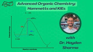 Advanced Organic Chemistry Hammetts and KIEs [upl. by Attehcnoc]