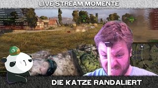 Best of gRuMM3l 3  Die Katze randaliert [upl. by Adriana]