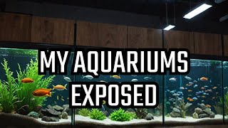 Secrets of My Massive Aquarium Collection [upl. by Anegue824]