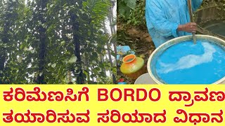 ಕರಿಮೆಣಸಿಗೆ ಪರಿಣಾಕಾರಿ ಆಗಿ ￼BORDO ದ್ರಾವಣ ತಯಾರಿ  Bordeaux mixture  pepper plantation [upl. by Onida]