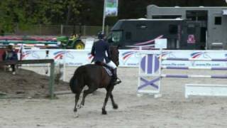 ♥ Orchidee de Cirka jumping horse by Cirka de Blondel [upl. by Westland]