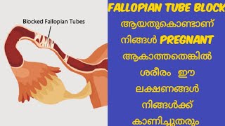 Blocked Fallopian tube symptoms DeechusWorld [upl. by Atniuq]