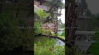 Dahilayan part 2 Bukidnon touryoutubeshorts travel bukidnondahilayan [upl. by Lenox]